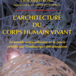 Architecture of human living fascia