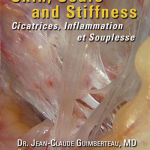 Skin, Scars and Stiffness